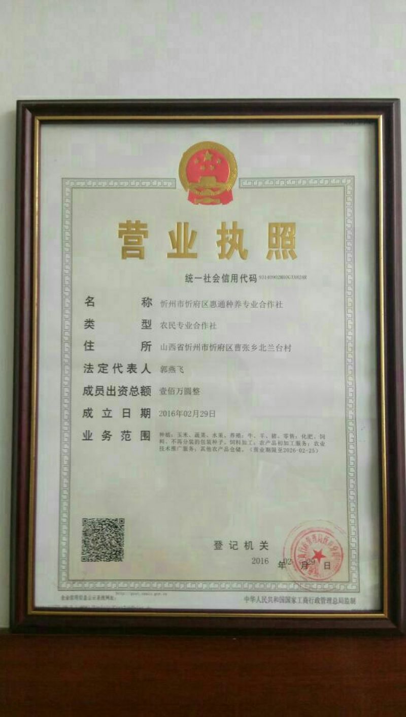 忻州优质北京红辣椒5~10厘米保质保量