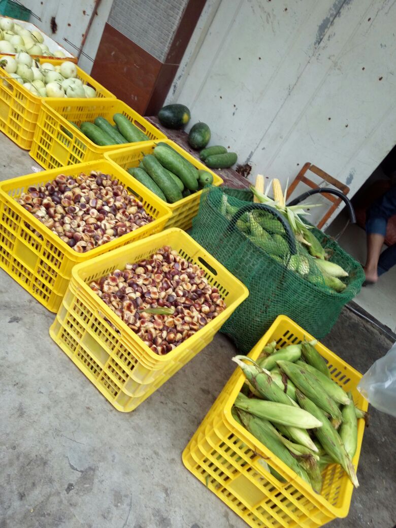 广西南宁市西乡塘区板栗 大粒 菜栗种批发_梁