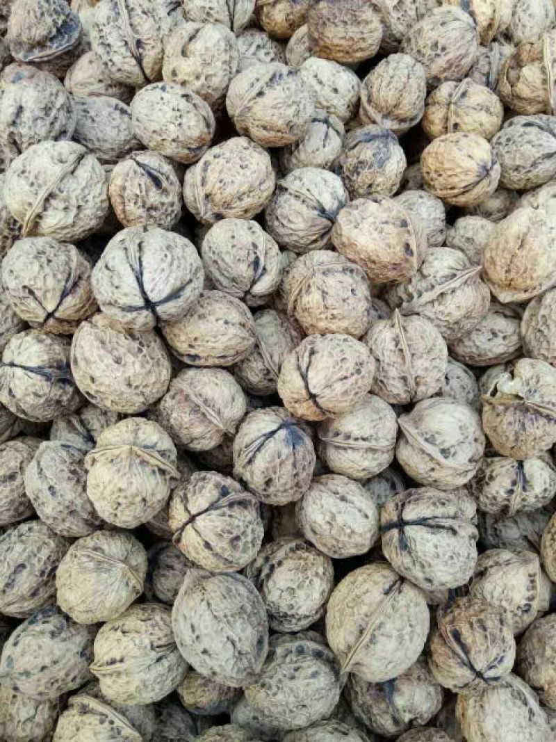 薄皮核桃30mm以上去皮干