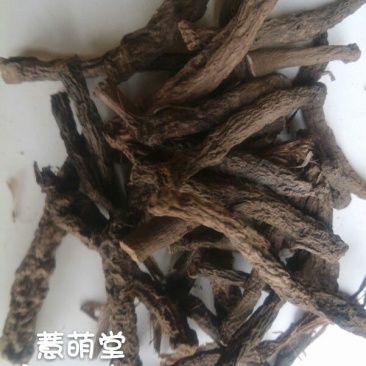 仙茅