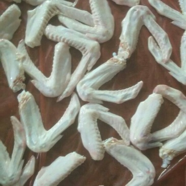 白条鸭