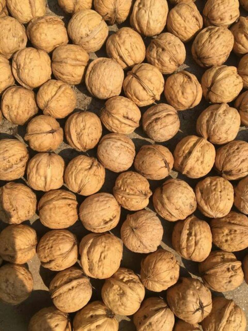 脱皮核桃30mm以上去皮