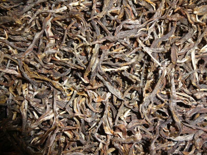 百年大树茶特级