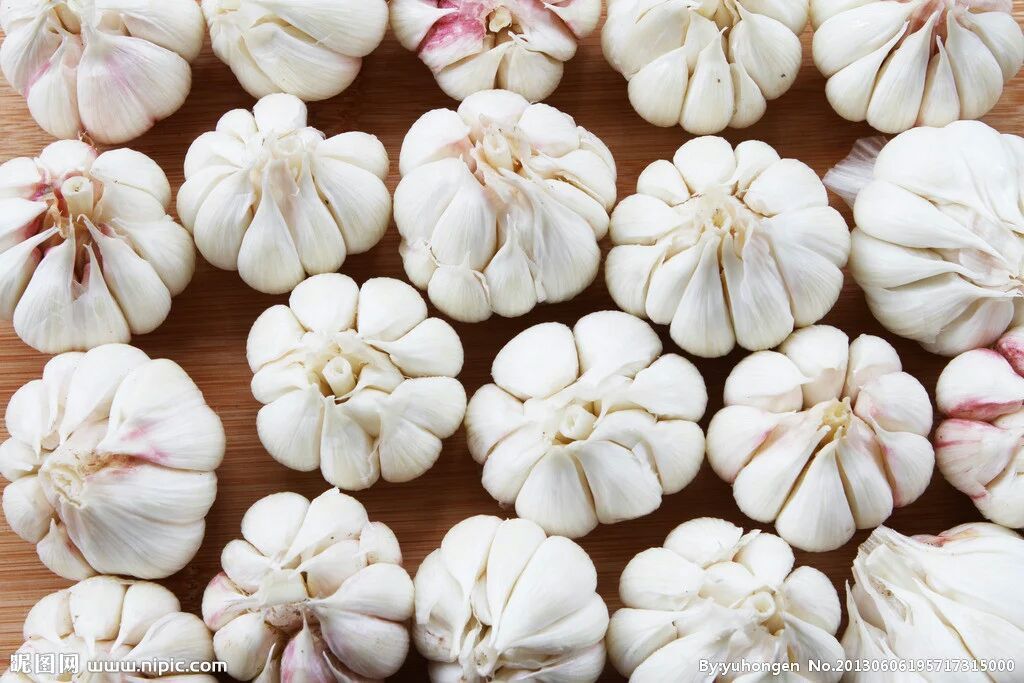 紫皮蒜全国_批发_供应-一亩田农业网_专业的农