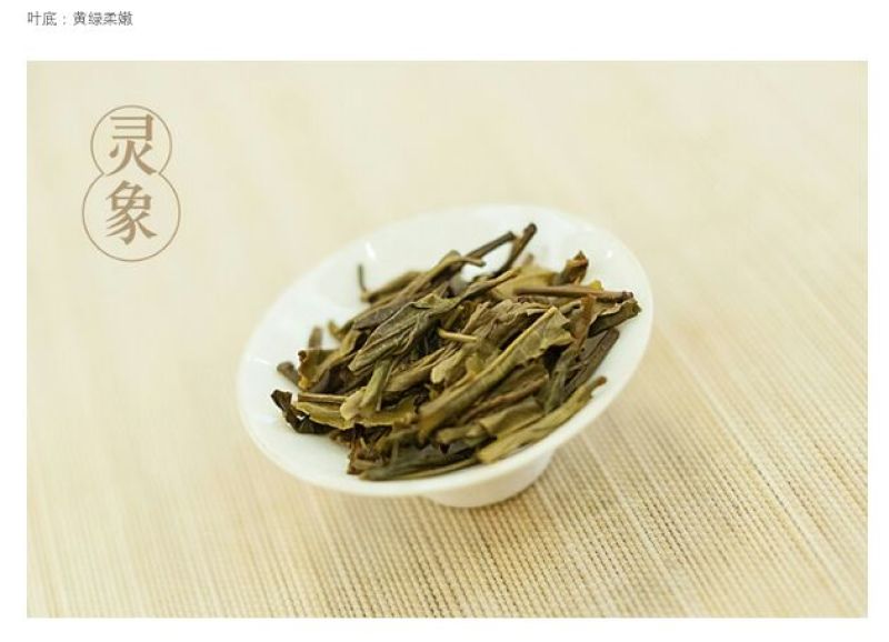 普洱绿茶紧压茶