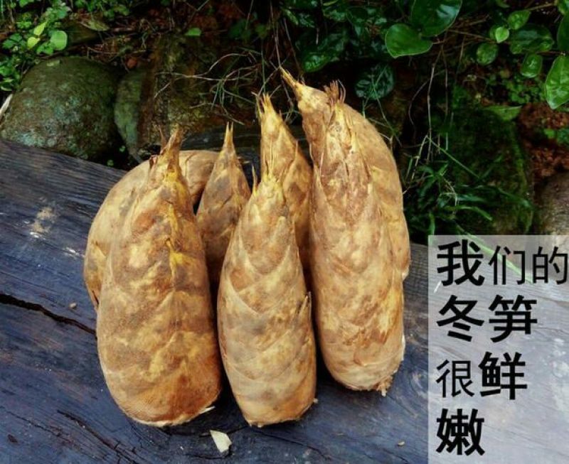 冬笋3两起步