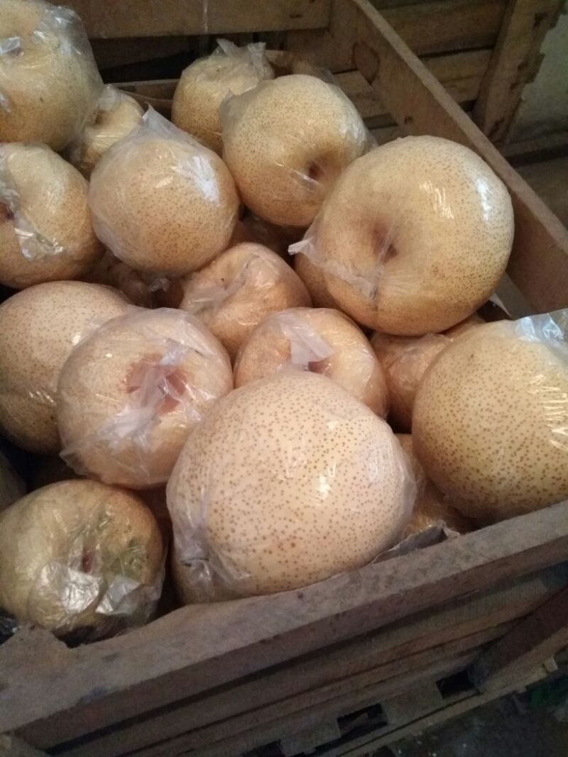 酥梨250~300g膜袋