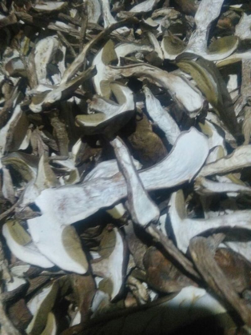 野生菌特级