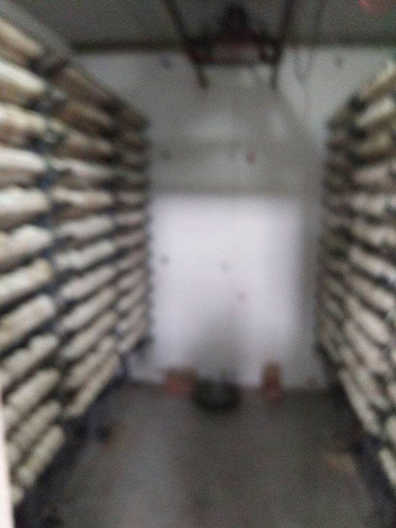 鹅苗250g