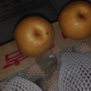 南水梨350~400g纸箱