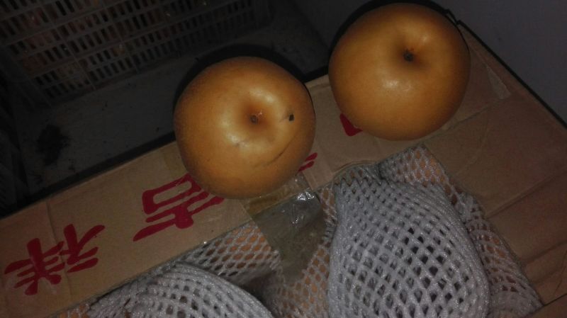 南水梨350~400g纸箱