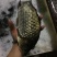方正银鲫