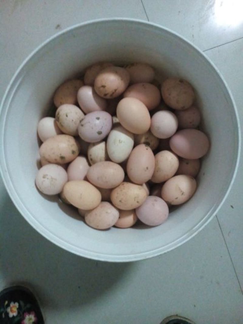 白蛋食用50g以下