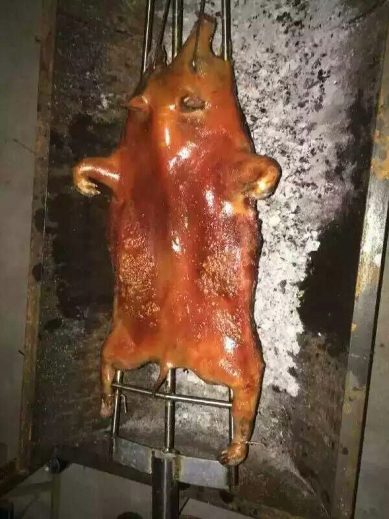 香猪