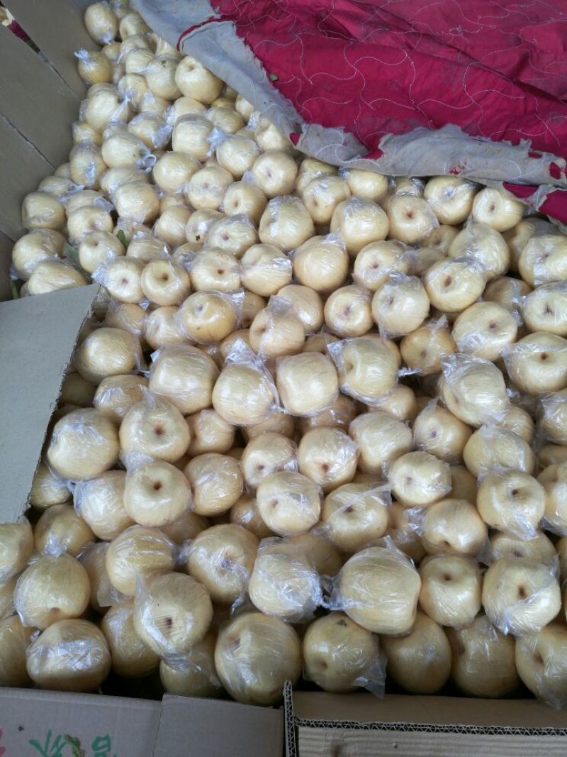 贡梨250~300g纸加膜
