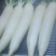 白萝卜2.5~3斤起
