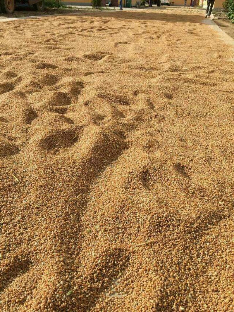 面粉袋装
