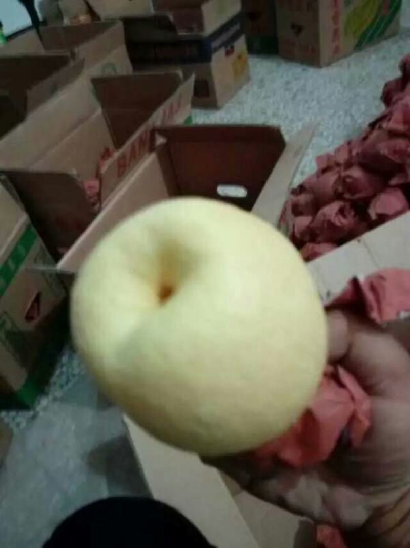 蒲城酥梨纸箱