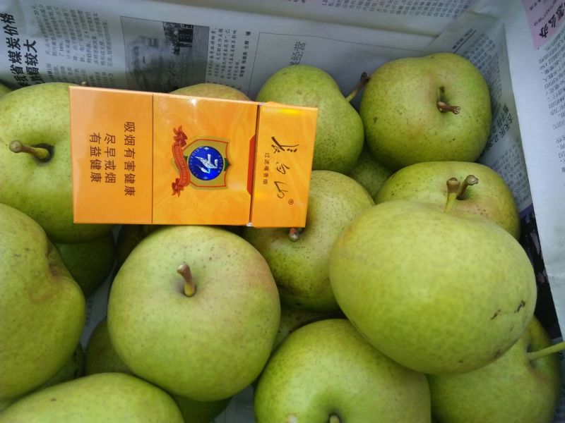 苹果梨500~550g纸箱