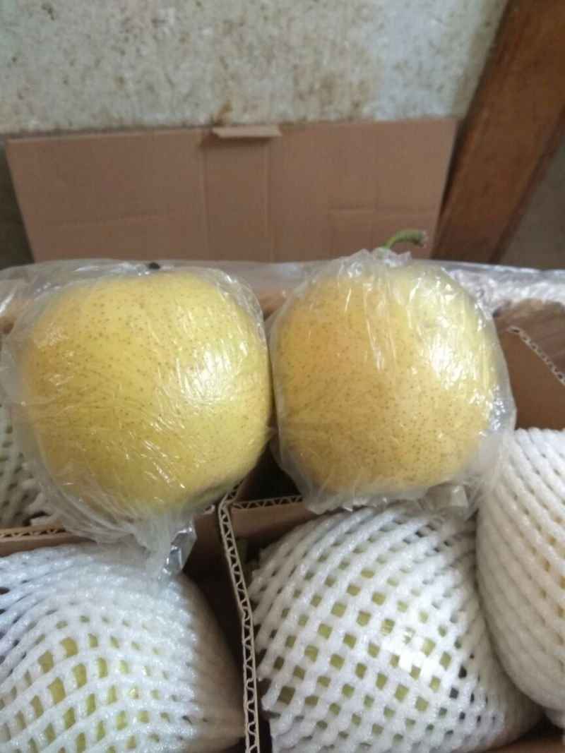 皇冠梨250~300g膜袋