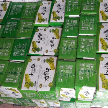 红葡萄干无核一级