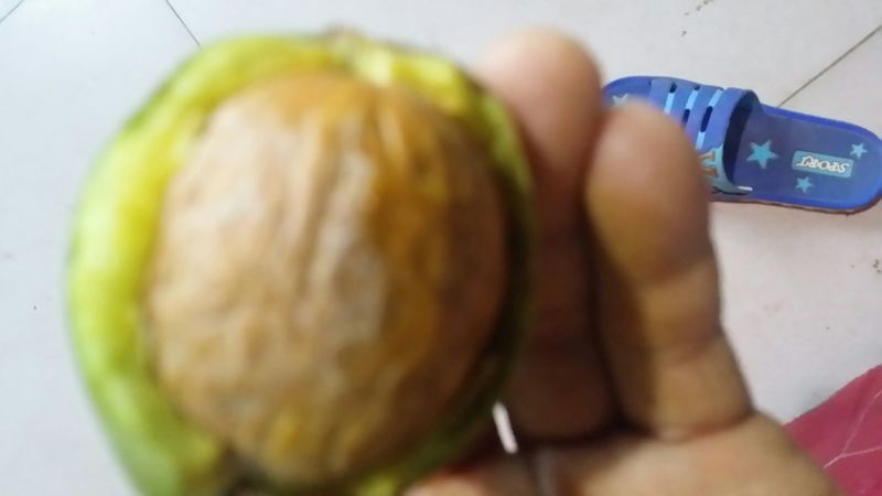 核桃去皮