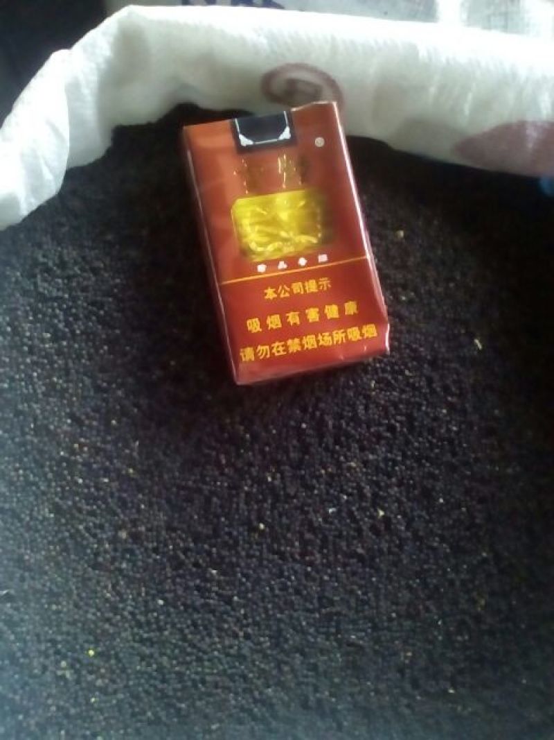 油菜籽1