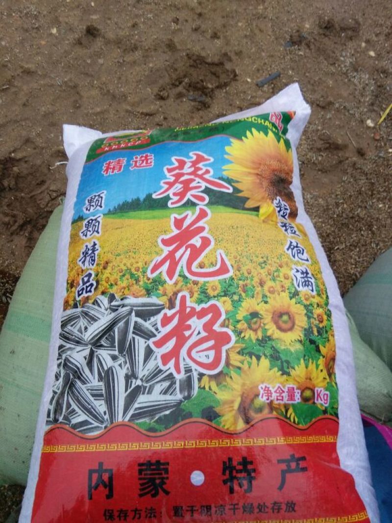 葵花3638100~150cm