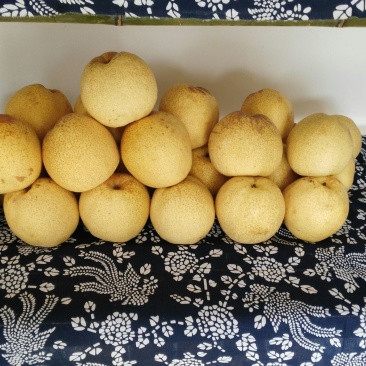 富硒梨300~350g纸箱