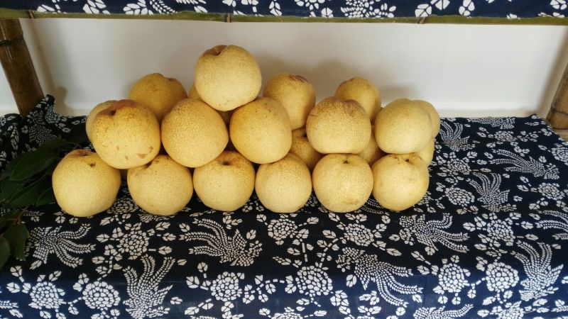 富硒梨300~350g纸箱