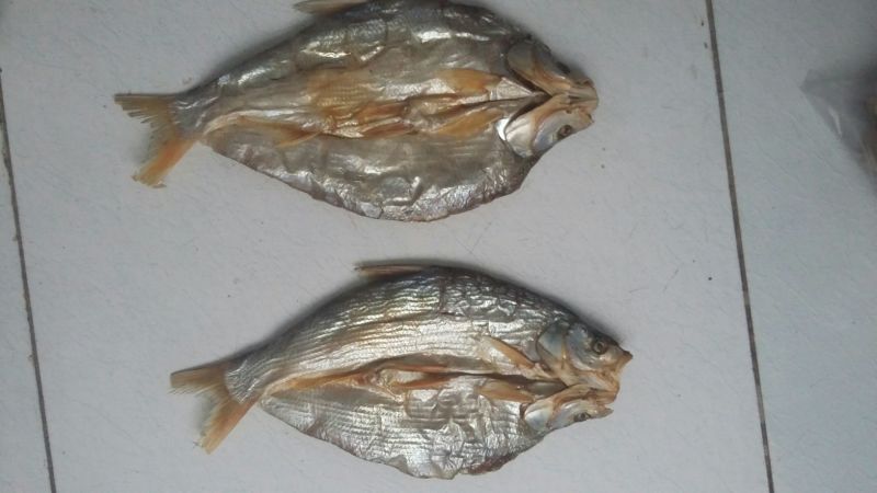 鱼干日晒鱼干