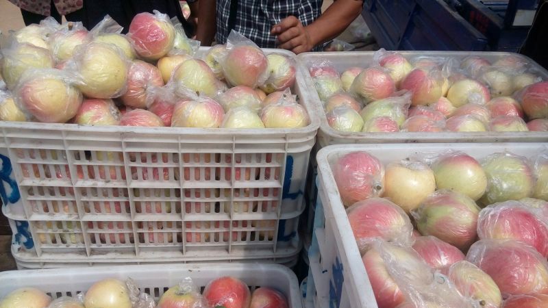 美八，红露，【红富士】等早熟苹果大量上市中全国发货