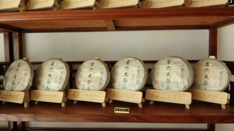 百年大树茶特级