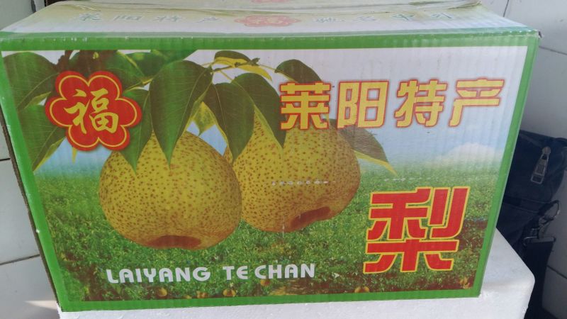 莱阳梨350~400g光果