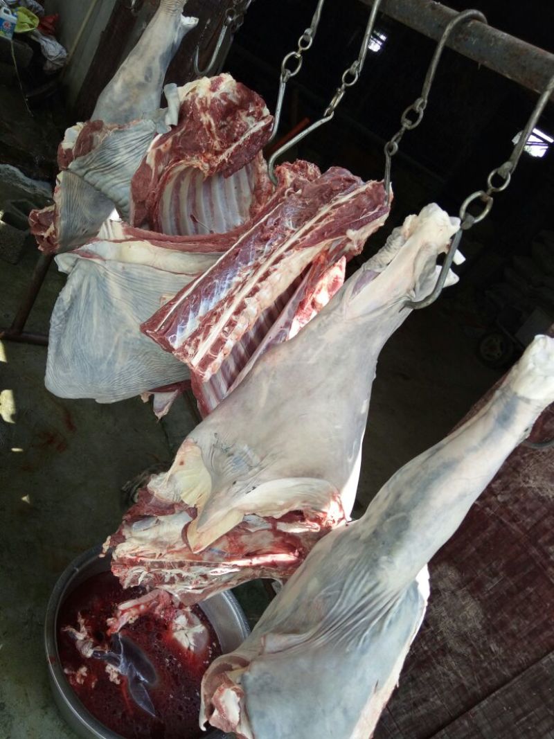 驴肉