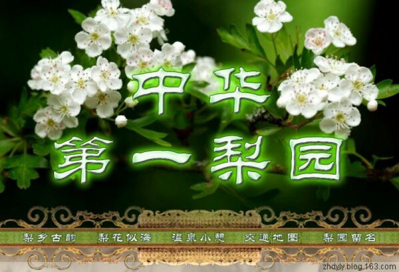 长把梨200~250g纸箱