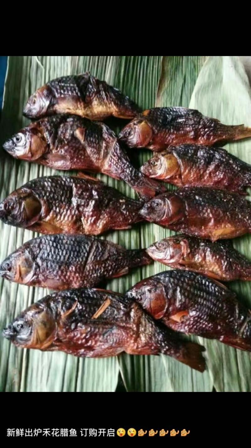 乌鲤食用2两