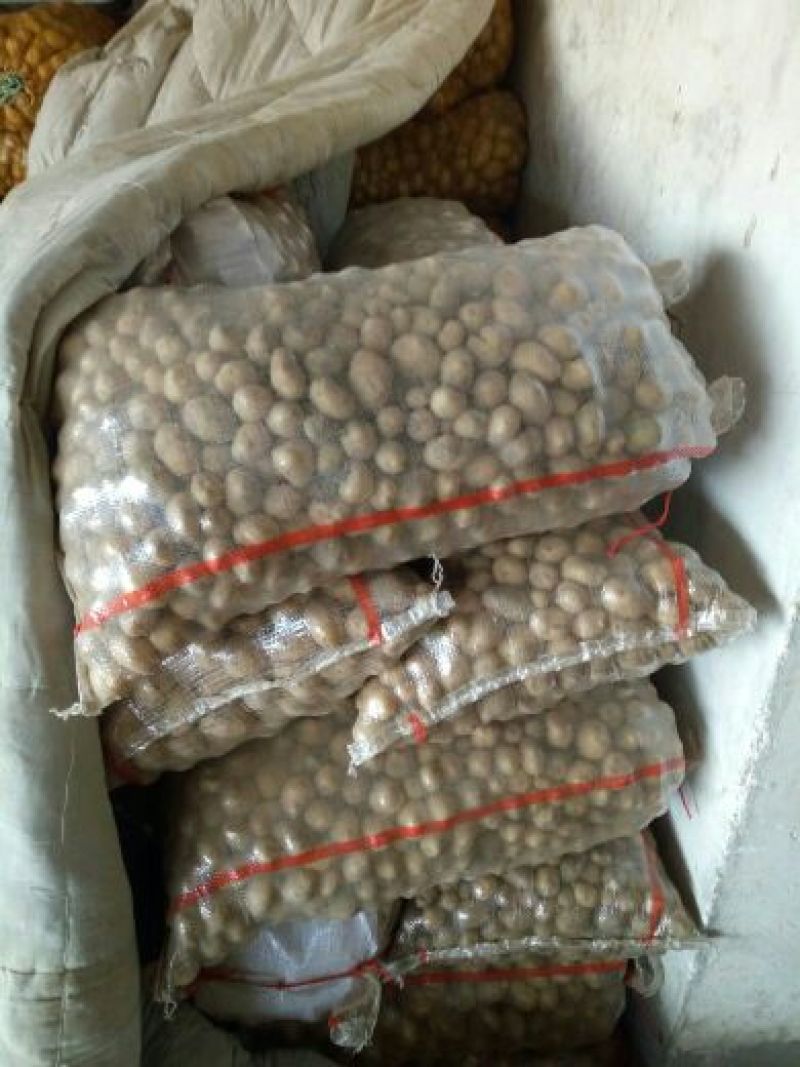 油炸小土豆1两以下长年供应黄皮黄心，规格可定制分选