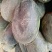 伽师瓜7斤以上长圆形