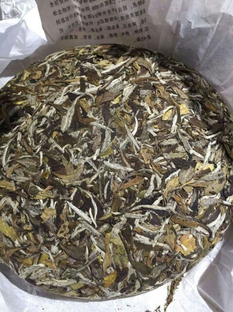 福鼎白茶