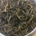 普洱茶散茶
