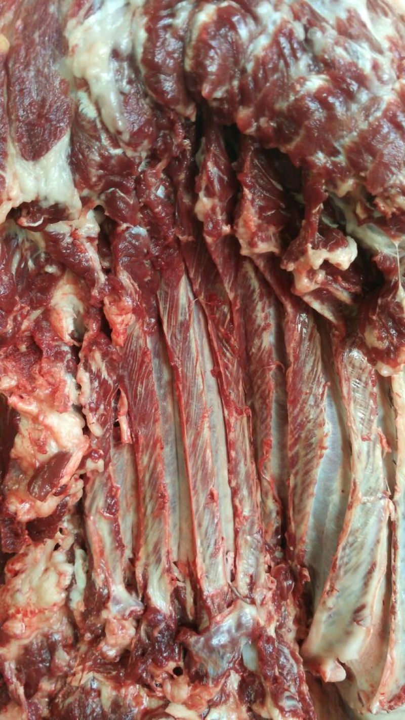 驴肉鲜货