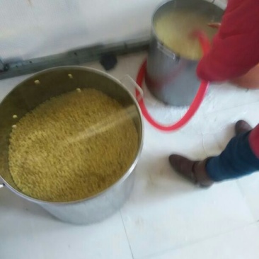 豆腐湿豆腐