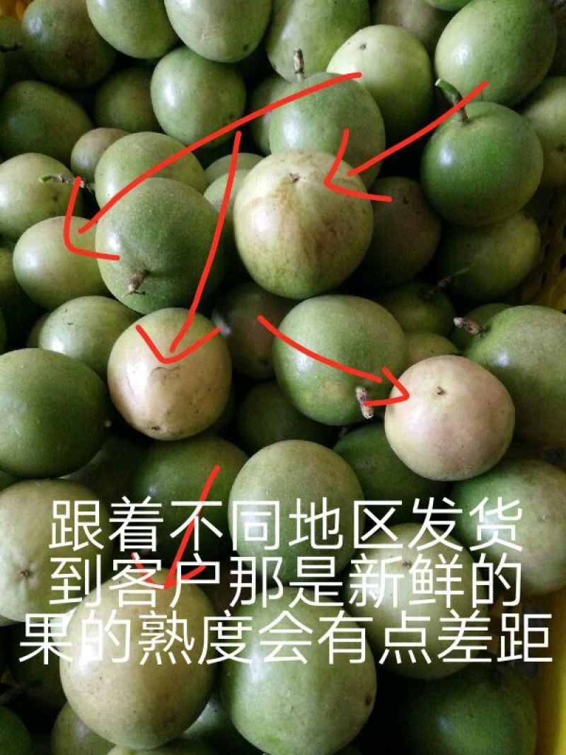 纯紫香百香果5斤中果酸酸甜甜一件代发引流