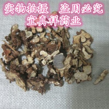 苍术