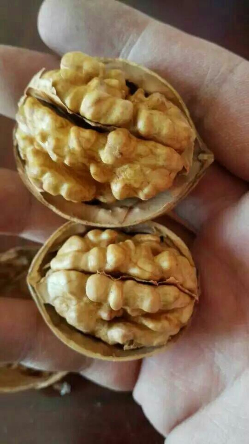 薄皮核桃去皮