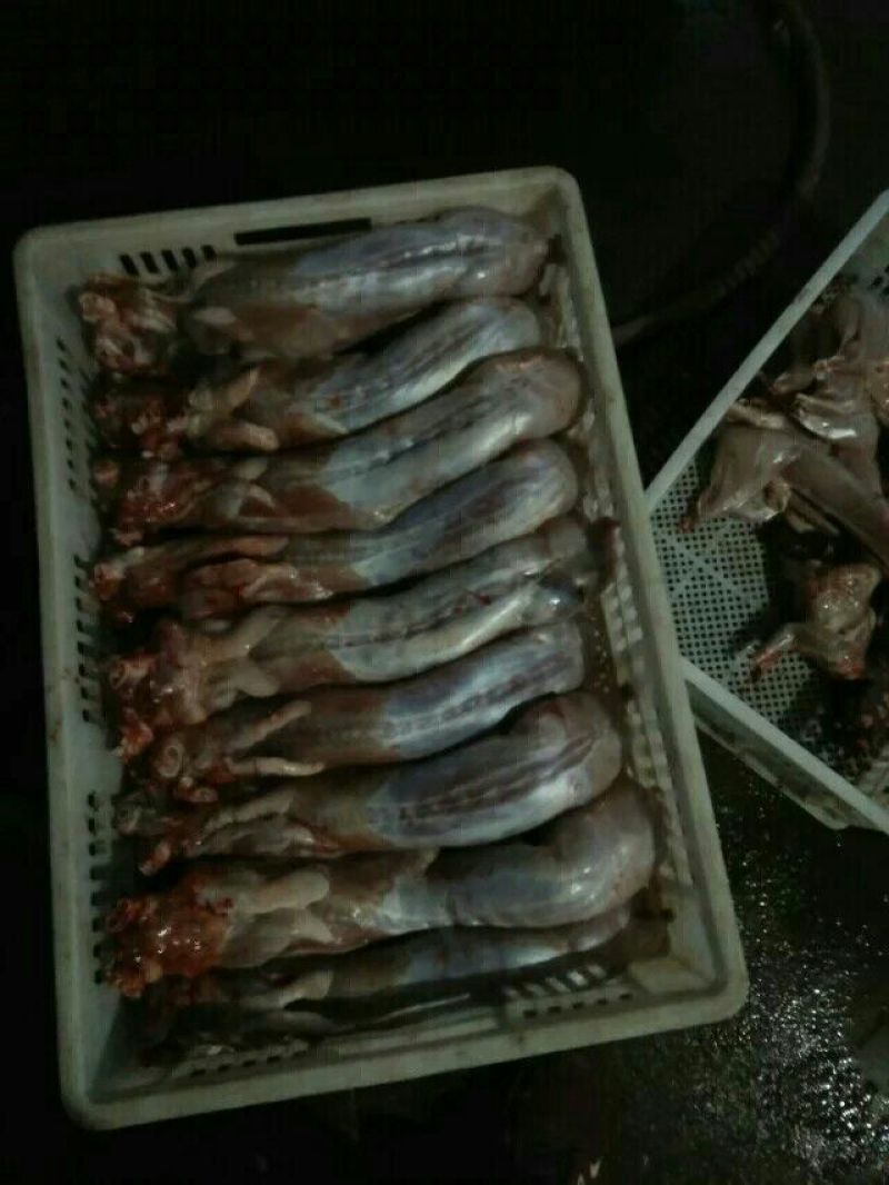 兔肉食用1~3