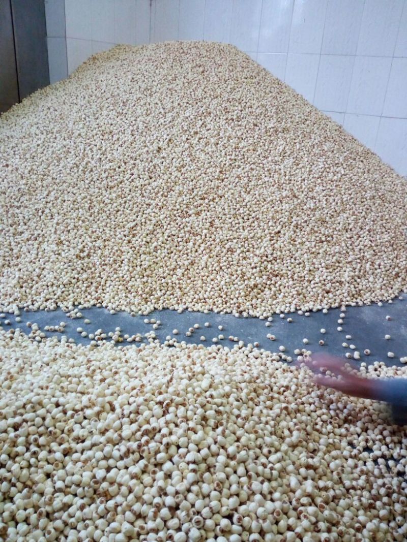 莲子广昌手工特级通芯白莲