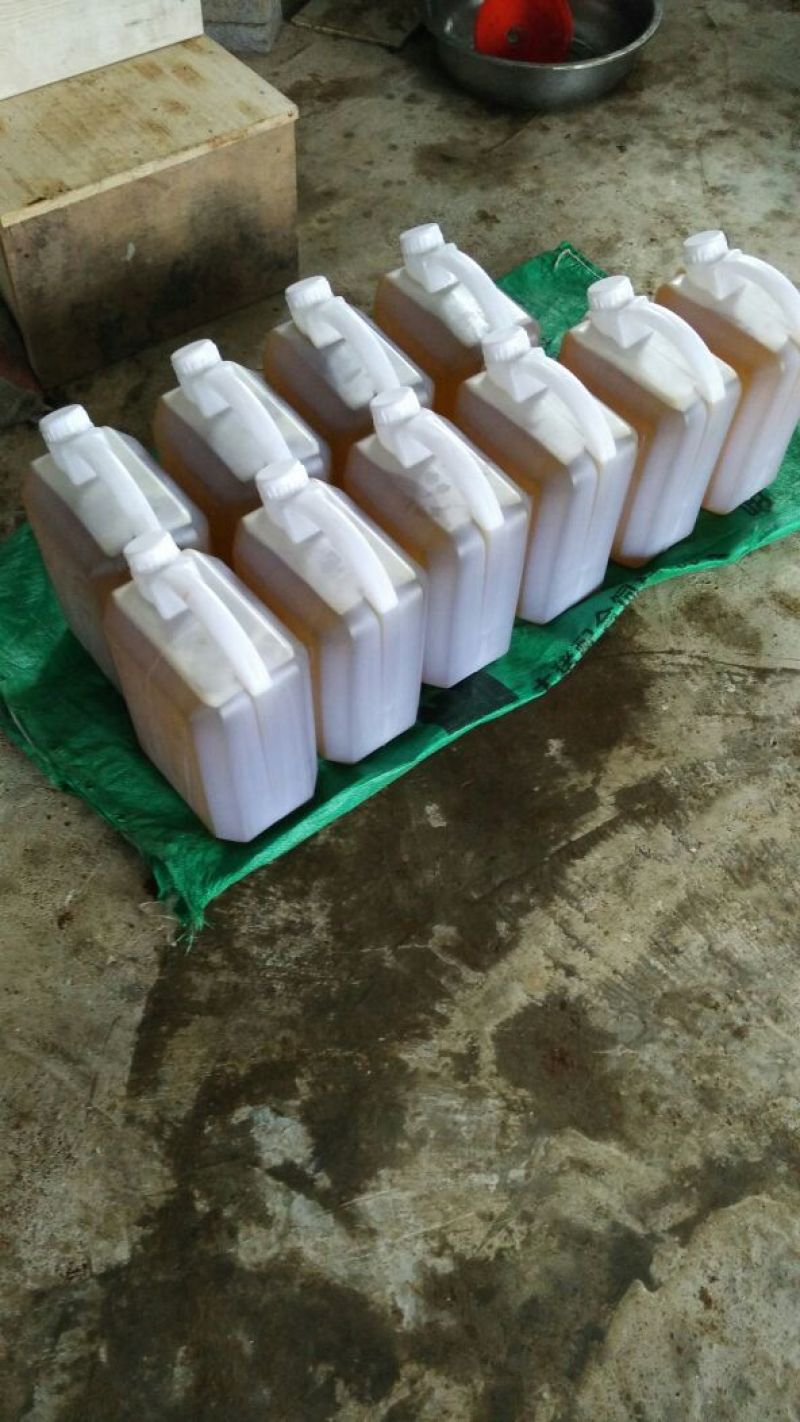 【精品】山茶油一手货源可视频看货量大从优