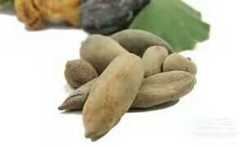 盐肤木，又叫五倍子树苗，纯野生苗，耐存活，耐运输，电联